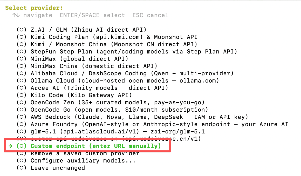 Hermes — select Custom endpoint